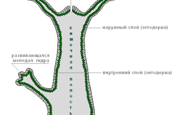 Кракен 18 вход