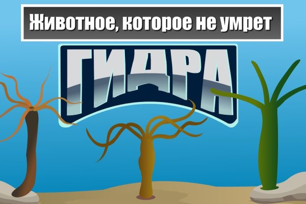 Как пополнить кошелек на кракене